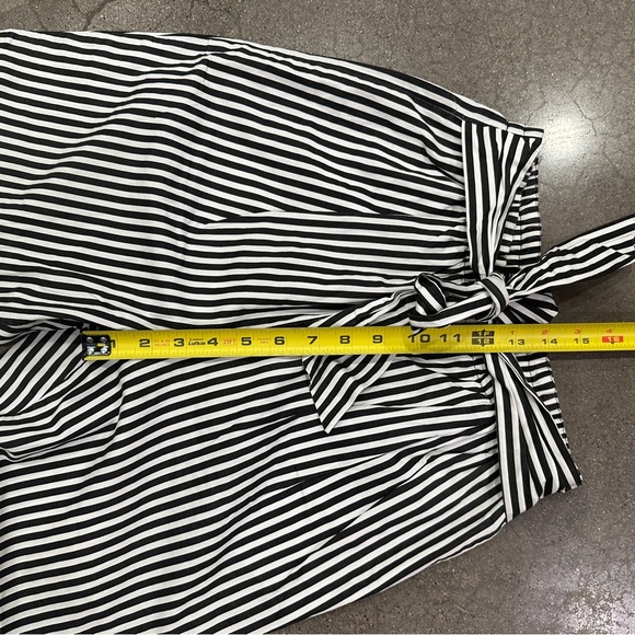 Zara High Waisted Striped Pant - Picture 7 of 9